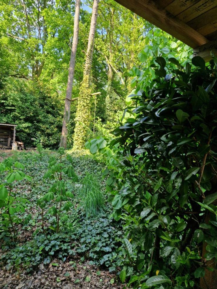 Benb Op De Vleet Vrijstaande Accommodatie Plantage Centrum Dış mekan fotoğraf
